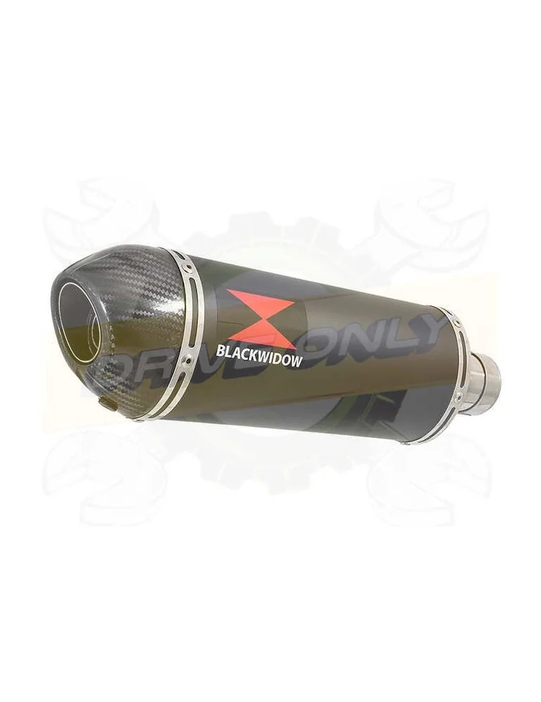 HONDA NT650 NT 650 DEAUVILLE Ligne complète & Silencieux Ovale En Carbone + Carbone Tip 400mm
