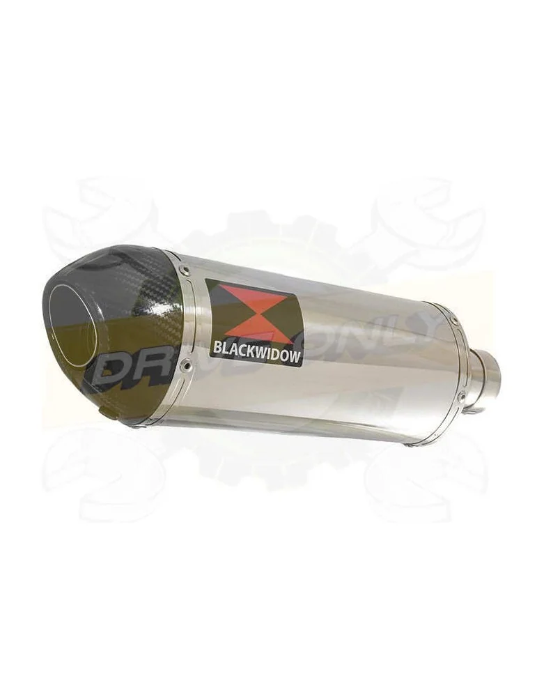 HONDA NT650 NT 650 DEAUVILLE Ligne complète & Silencieux Ovale En Inox + Carbone Tip 300mm