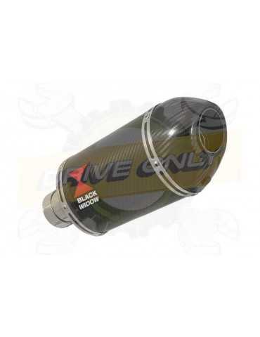 R850R ROADSTER tube de...