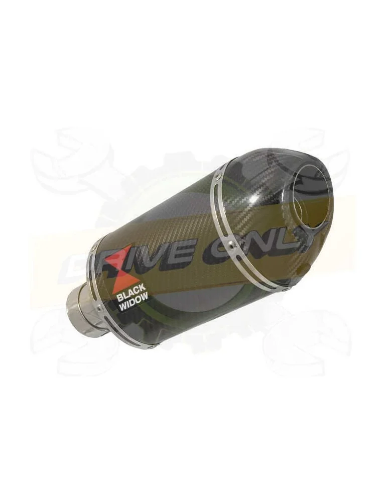 R850R ROADSTER tube de raccord et Ovale En Carbone Silencieux + carbon 200mm