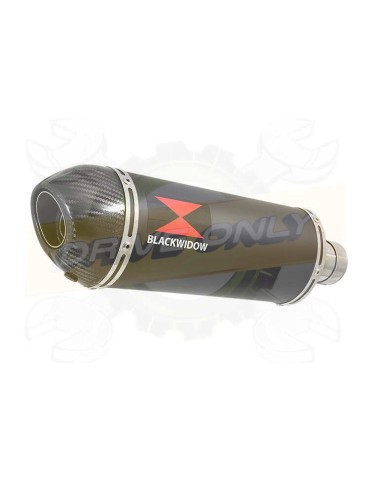 ZX10R ZX10-R E8F E9F E10F 08 09 10 Tube de raccord & Silencieux Ovale Noir En Inox + Canule En Carbone 300mm