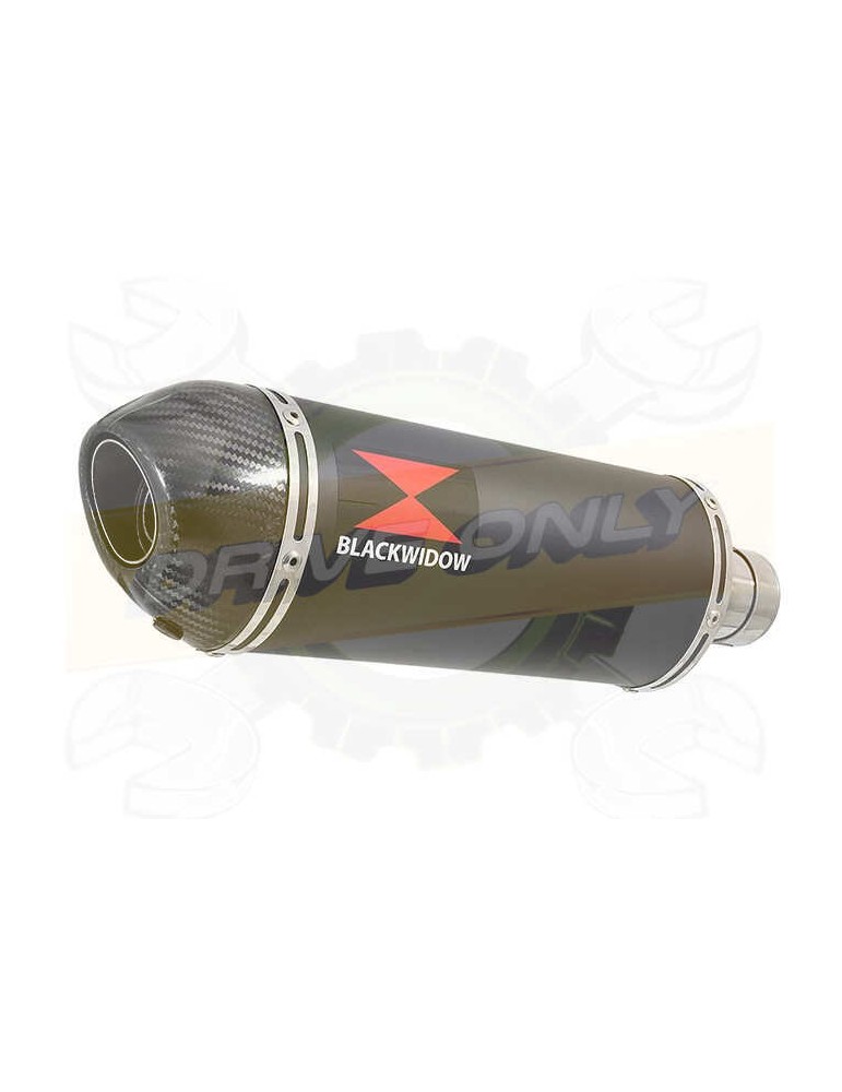 ZX10R ZX10-R E8F E9F E10F 08 09 10 Tube de raccord & Silencieux Ovale Noir En Inox + Canule En Carbone 300mm