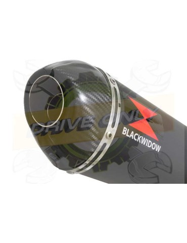 ZX10R ZX10-R E8F E9F E10F 08 09 10 Tube de raccord & Silencieux Ovale Noir En Inox + Canule En Carbone 300mm