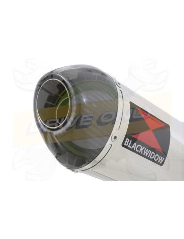 ZX10R ZX10-R E8F E9F E10F 08 09 10 Decata / Tube de raccord & Silencieux Ovale en Inox + Canule en Carbone 300mm