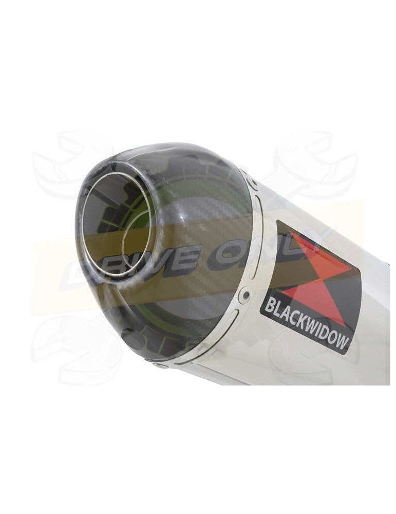 ZX10R ZX10-R E8F E9F E10F 08 09 10 Decata / Tube de raccord & Silencieux Ovale en Inox + Canule en Carbone 300mm
