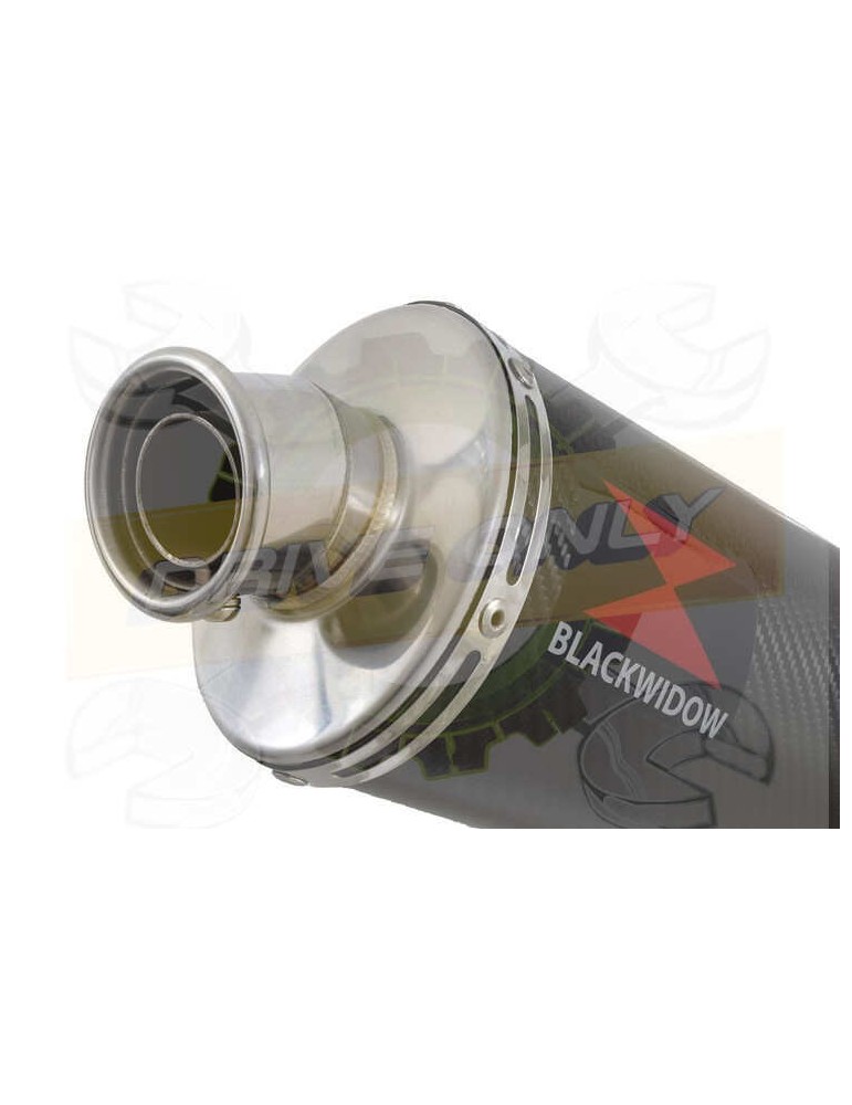 ZX10R ZX10-R E8F E9F E10F 08 09 10 Decata / Tube de raccord & Silencieux Ovale En Carbone 300mm