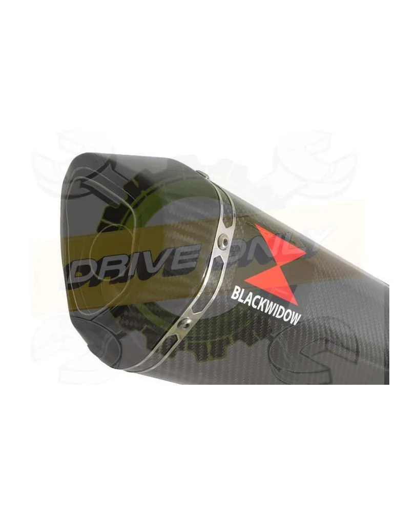 ZX10R ZX10-R E8F E9F E10F 08 09 10 Decata / Tube de raccord & Silencieux Hexagonale En Carbone 300mm