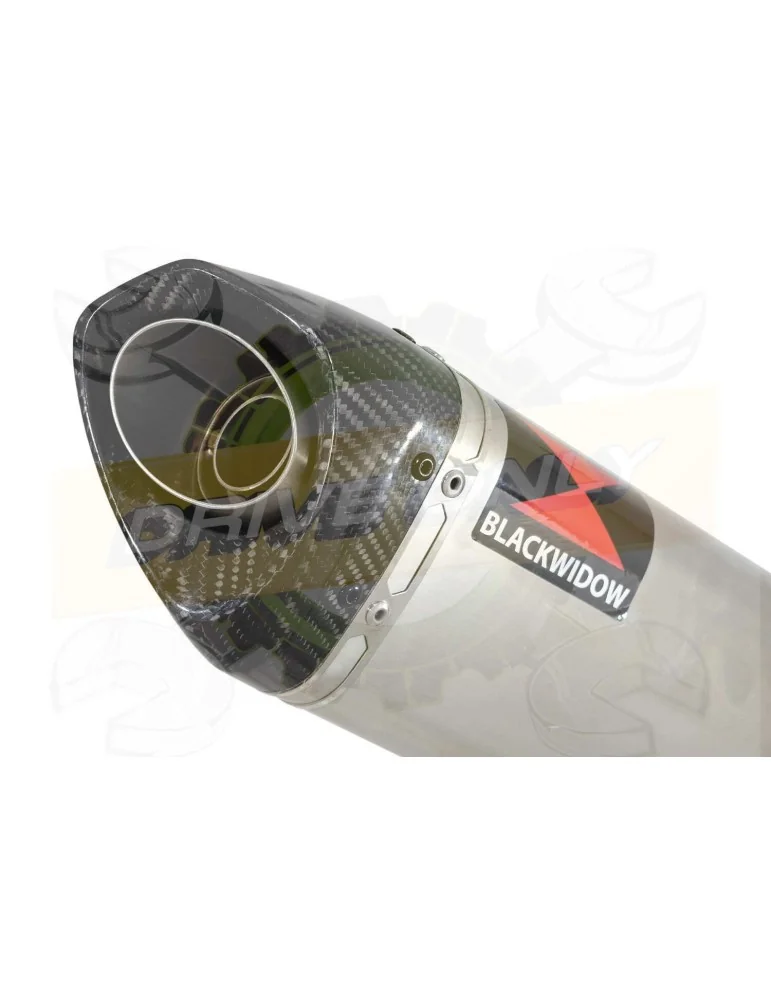 R6 YZF600 2006-2018 Passage Haut Décatalyseur Ligne complète & Silencieux Tri Ovale en Inox + Canule en Carbone 250mm