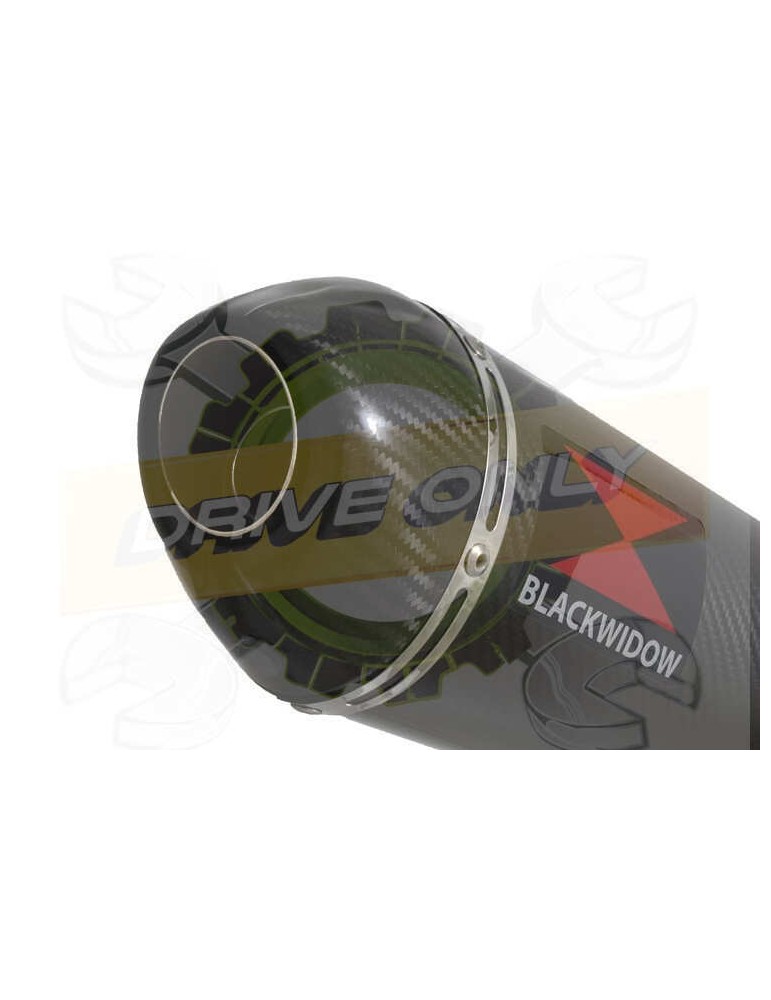 XJR1300 XJR 1300 SP 1998 - 2006 4-1 Ligne complète & Silencieux Ovale En Carbone 300mm