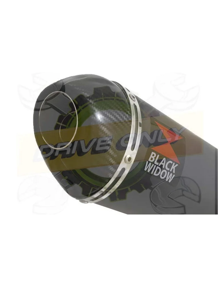 XJR1300 XJR 1300 SP 1998 - 2006 4-1 Ligne complète & Silencieux Ovale Noir En Inox + Canule En Carbone 200mm