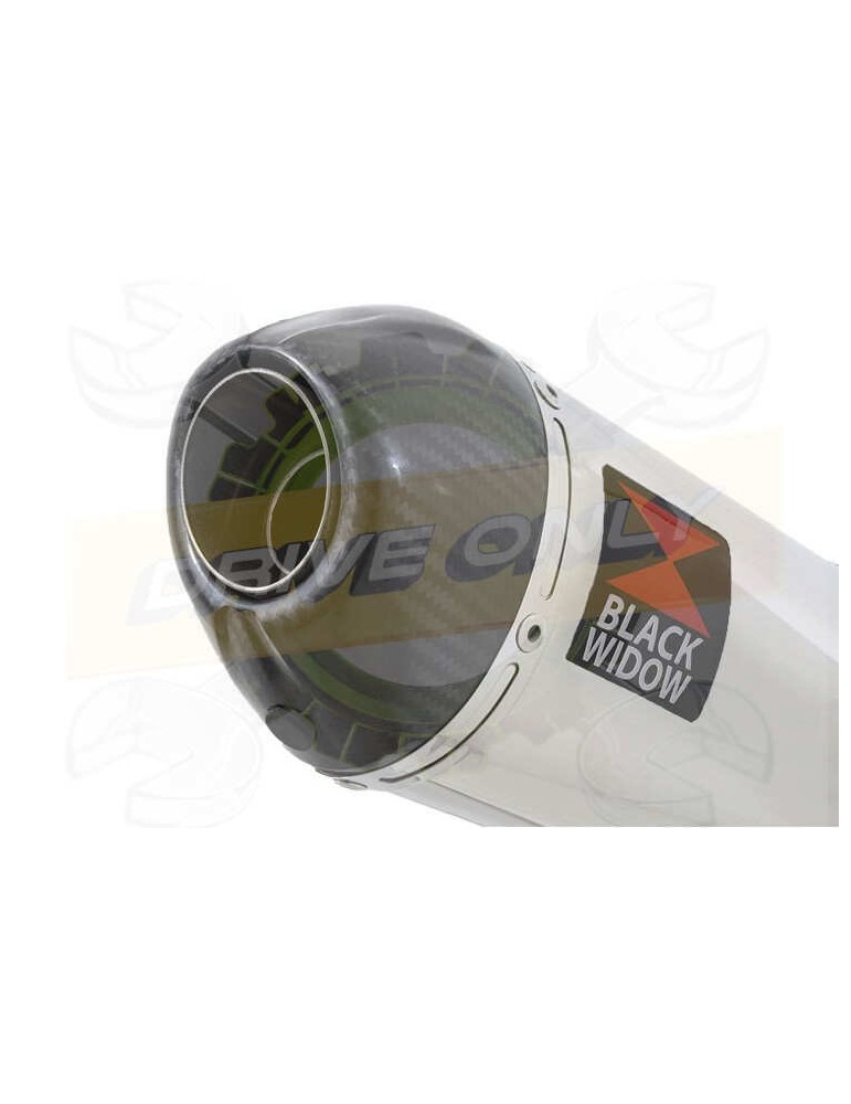 XJR1300 XJR 1300 SP 1998 - 2006 4-1 Ligne complète & Silencieux Ovale En Inox + Canule En Carbone 200mm