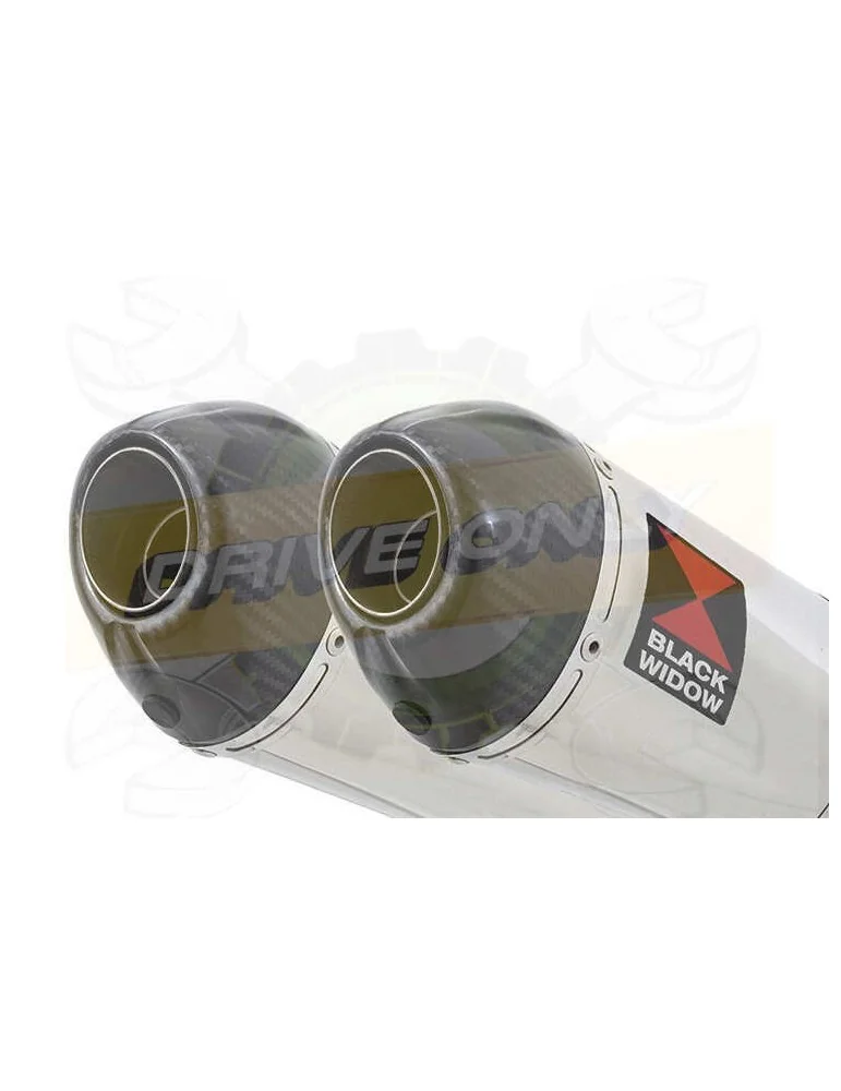 XJR1300 XJR 1300 1998 - 2006 4-2 Silencieux Kit & Silencieux Ovale En Inox + Canule en Carbone 200mm