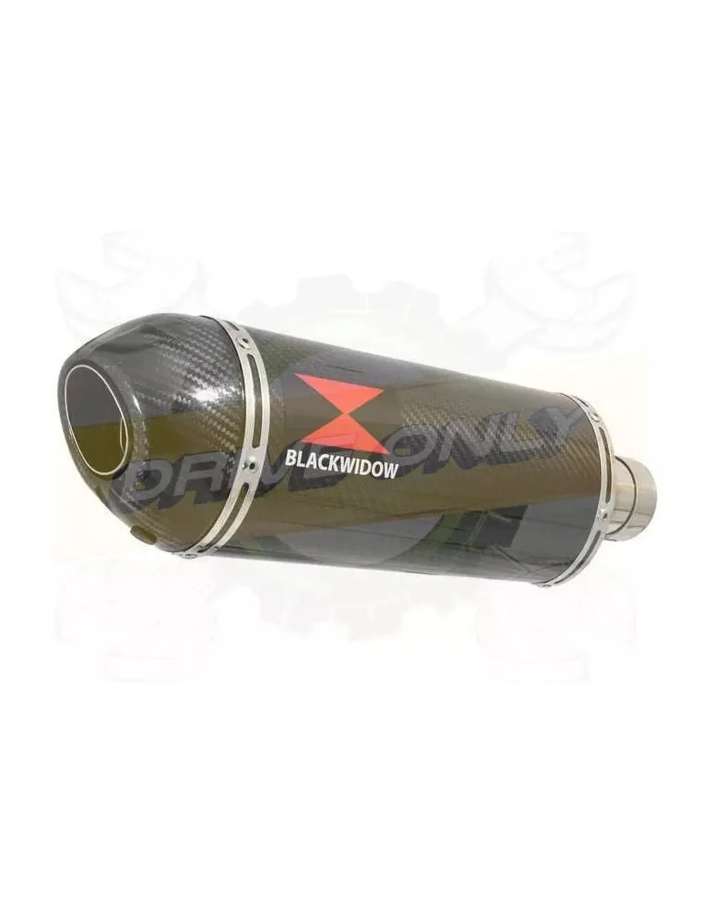 R6 2006-2016 Silencieux Kit & Silencieux En Carbone 300mm