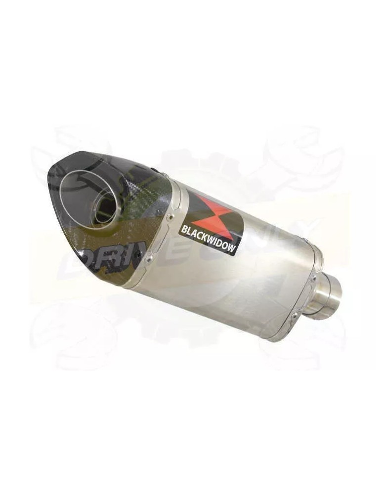 R6 2006-2016 Silencieux Kit & Silencieux Tri Ovale En Inox + Canule en Carbone 250mm