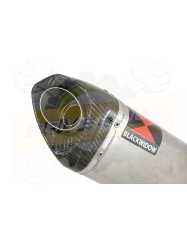 R6 2006-2016 Silencieux Kit & Silencieux Tri Ovale En Inox + Canule en Carbone 250mm
