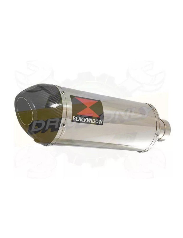 R6 2006-2016 Silencieux Kit & Silencieux Ovale En Inox + Canule en Carbone 300mm