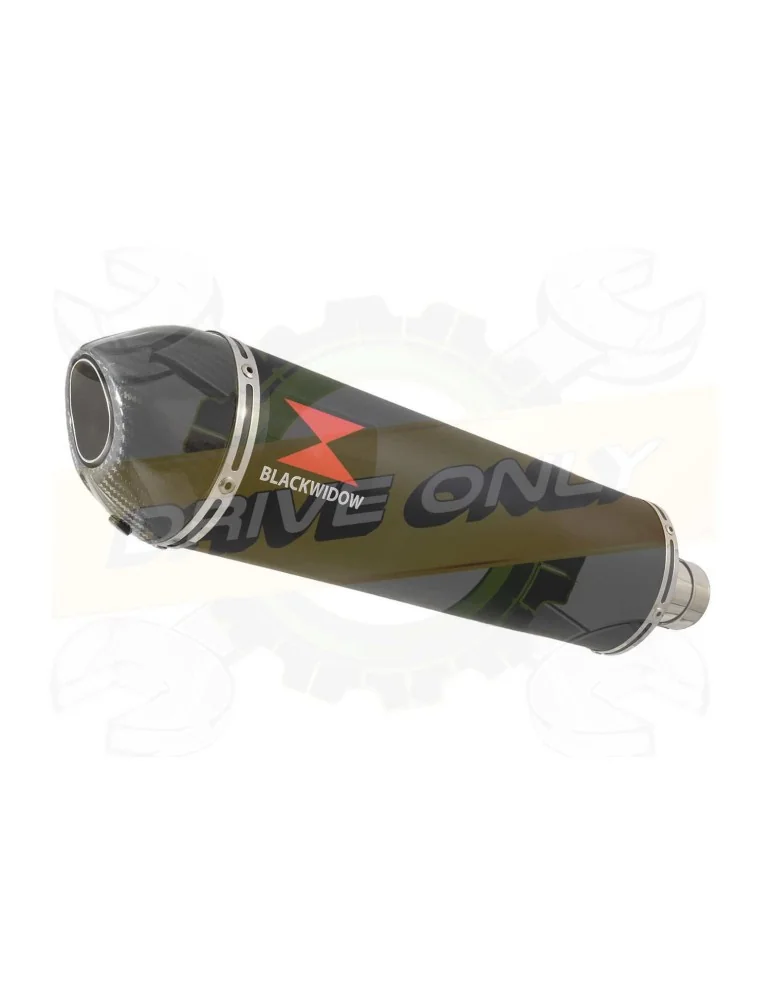 R6 YZF600 2006-2016 Passage Haut Décatalyseur Ligne complète & Silencieux Ovale Noir en Inox + Canule en Carbone 400mm