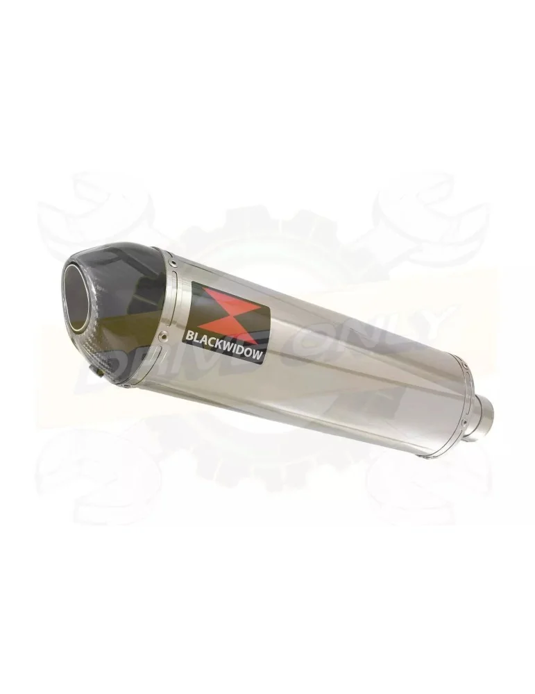 R6 1998-2002 Silencieux Kit & Silencieux Ovale En Inox + Canule en Carbone 400mm