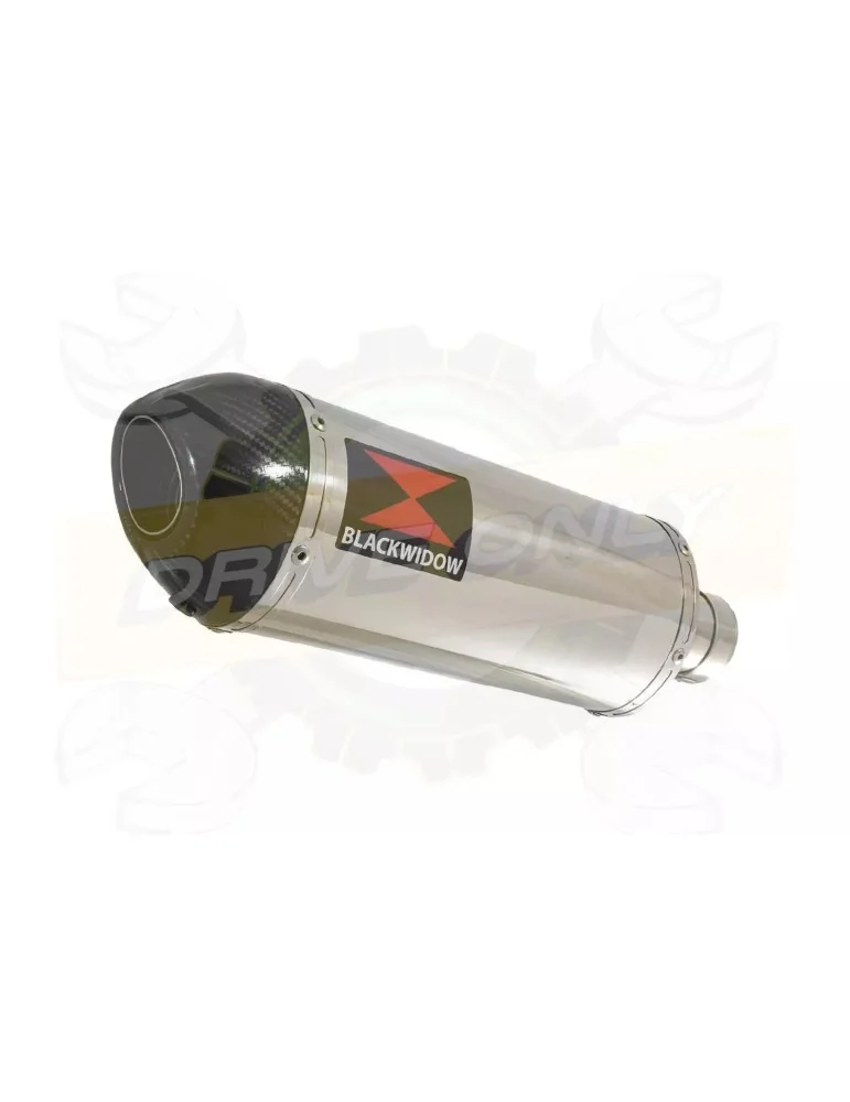 R6 1998-2002 Silencieux Kit & Silencieux Ovale En Inox + Canule en Carbone 300mm