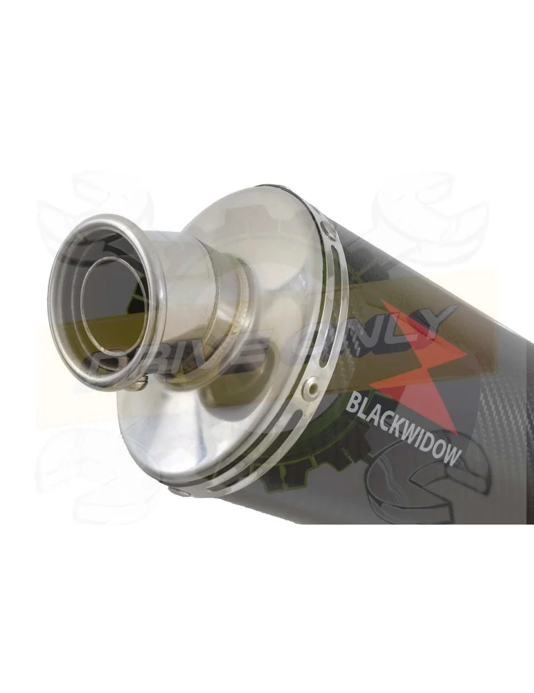 XJR1300 XJR 1300 2007-2016 4-1 Décatalyseur Ligne complète & Silencieux Ovale En Carbone 400mm