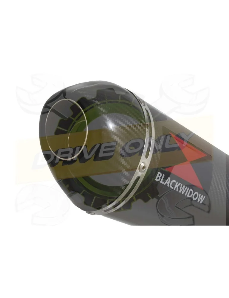 XJR1300 XJR 1300 2007-2016 4-1 Décatalyseur Ligne complète & Silencieux Ovale En Carbone 300mm