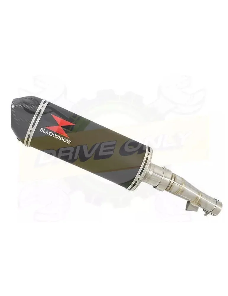 Honda NC 700 S (RC61) 2012-2014 Kit Silencieux: Silencieux Ovale Noir Inox 300mm + Carbone Tip