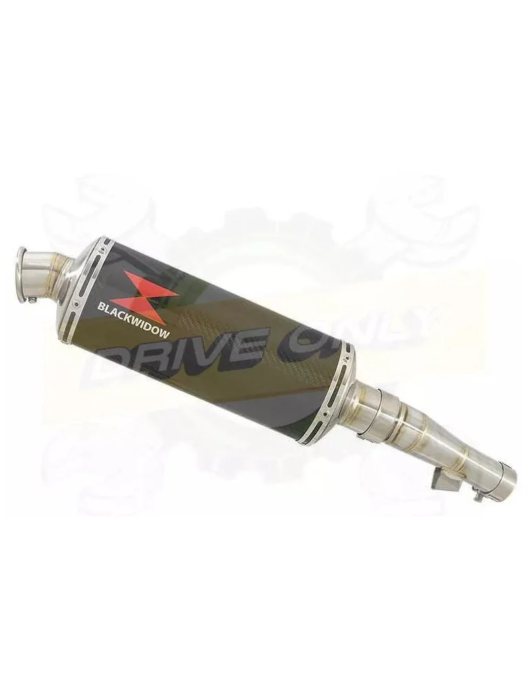 Honda NC 700 S (RC61) 2012-2014 Kit Silencieux: Silencieux Ovale Carbone 300mm
