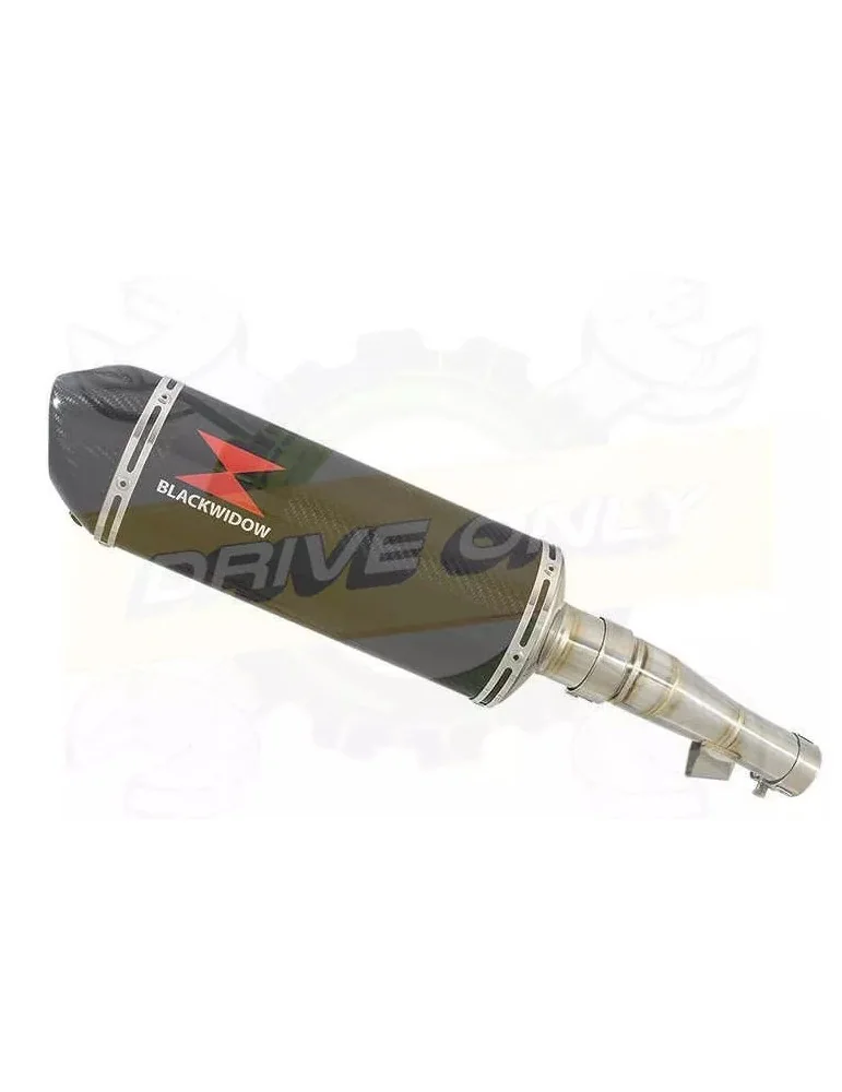 Honda NC 700 S (RC61) 2012-2014 Kit Silencieux: 300mm Silencieux Ovale Carbone + Carbone Tip