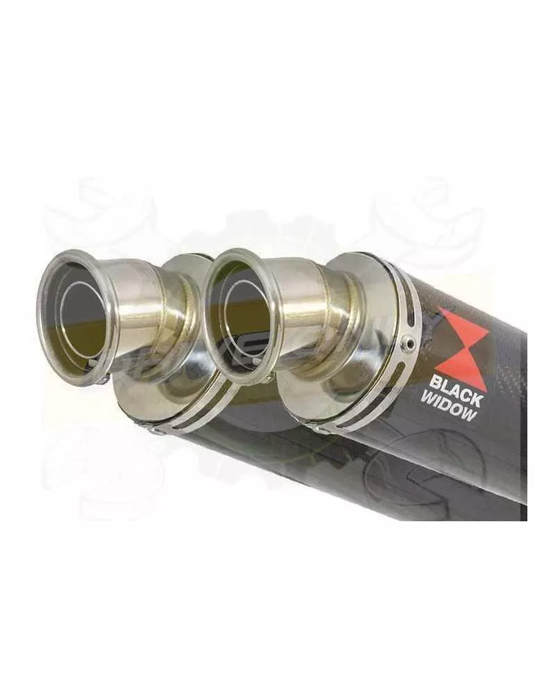 TDM 900 2-2 Ligne complète & Silencieux Rond En Carbone 350mm