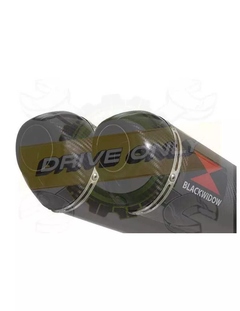 TDM 900 2-2 Ligne complète & Silencieux Ovale En Carbone 300mm