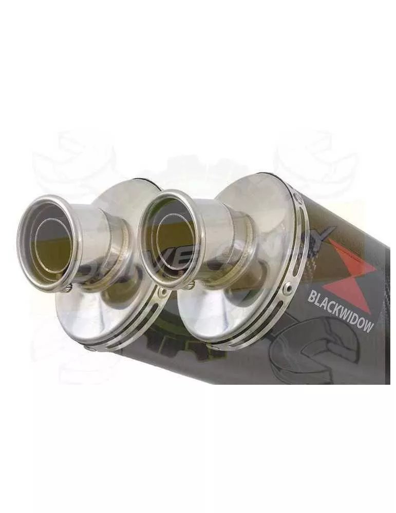 TDM 900 2-2 Ligne complète & Silencieux Ovale En Carbone 300mm