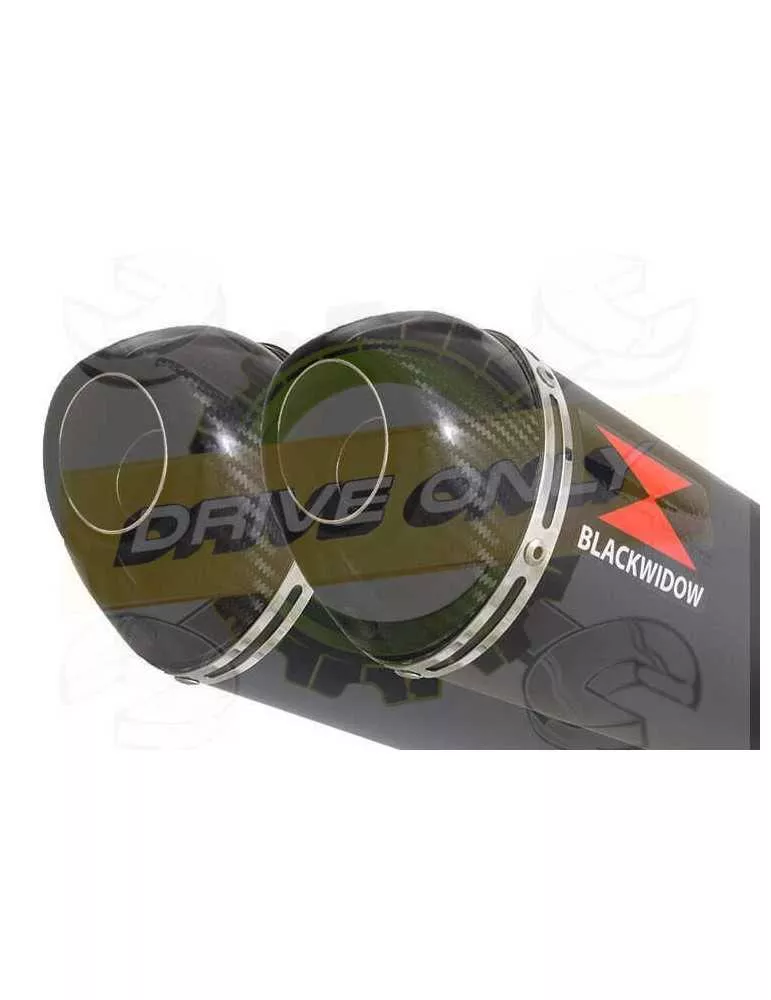 TDM 900 2-2 Ligne complète & Silencieux Ovale Noir En Inox + Canule en Carbone 300mm