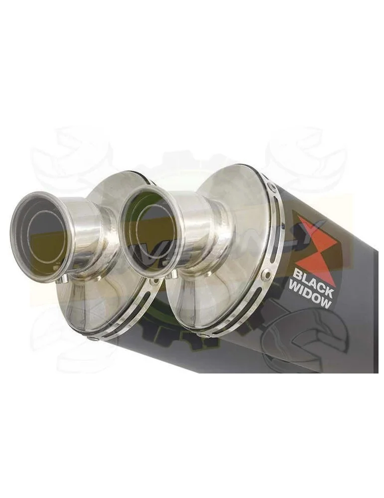 TDM 900 2-2 Ligne complète & Silencieux Ovale Noir En Inox 230mm