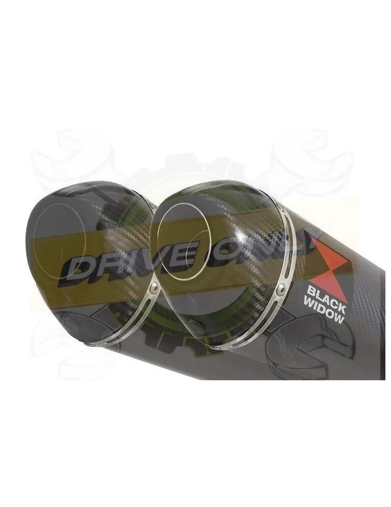 TDM 900 2-2 Ligne complète & Silencieux Ovale En Carbone 200mm