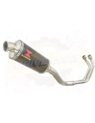 YAMAHA TDM 850 4EP / 3VD 1991 - 2001 2-1 Ligne complète & Silencieux Ovale En Carbone 300mm