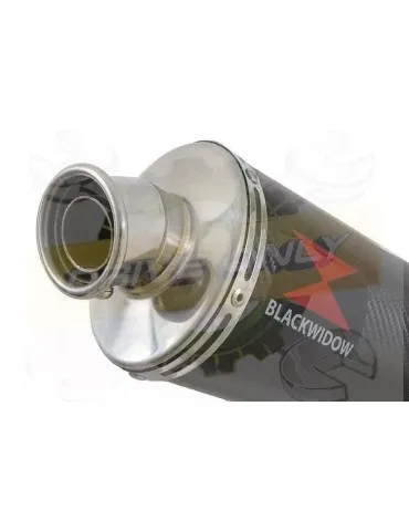 YAMAHA TDM 850 4EP / 3VD 1991 - 2001 2-1 Ligne complète & Silencieux Ovale En Carbone 300mm