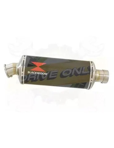 YAMAHA TDM 850 4EP / 3VD 1991 - 2001 2-1 Ligne complète & Silencieux Ovale En Carbone 300mm