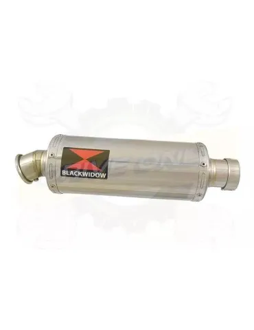 YAMAHA TDM 850 4EP / 3VD 1991 - 2001 2-1 Ligne complète & Silencieux Rond En Inox 300mm