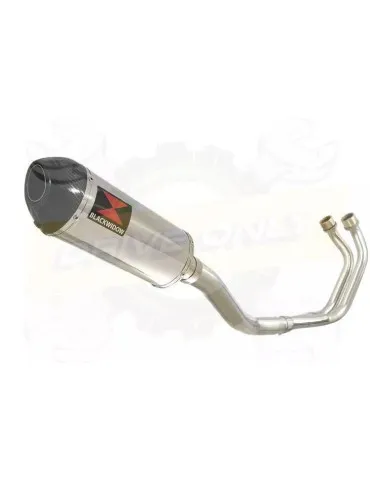 YAMAHA TDM 850 4EP / 3VD 1991 - 2001 2-1 Ligne complète & Silencieux Ovale En Inox + Canule en Carbone 300mm