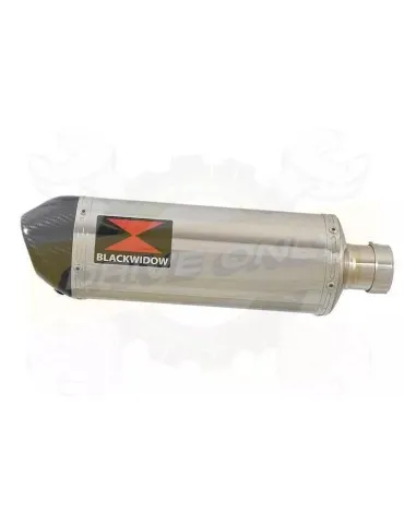 YAMAHA TDM 850 4EP / 3VD 1991 - 2001 2-1 Ligne complète & Silencieux Ovale En Inox + Canule en Carbone 300mm