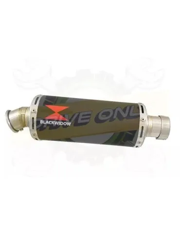 YAMAHA TDM 850 4EP / 3VD 1991 - 2001 2-1 Ligne complète & Silencieux Rond Noir En Inox 300mm