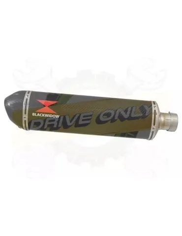 YAMAHA TDM 850 4EP / 3VD 1991 - 2001 2-1 Ligne complète & Silencieux Ovale En Carbone 400mm