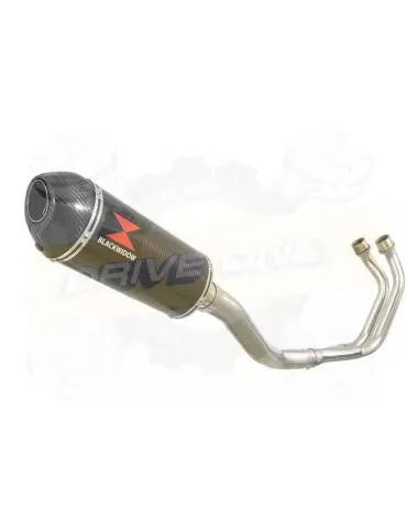 YAMAHA TDM 850 4EP / 3VD 1991 - 2001 2-1 Ligne complète & Silencieux Ovale En Carbone 300mm