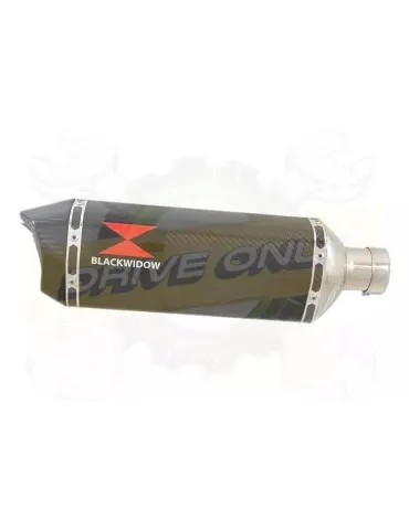 YAMAHA TDM 850 4EP / 3VD 1991 - 2001 2-1 Ligne complète & Silencieux Hexagonale En Carbone 300mm