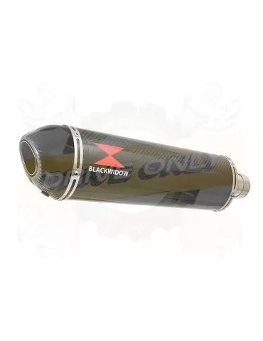 YAMAHA TDM 850 4EP / 3VD 1991 - 2001 2-1 Tube de raccord et Silencieux Ovale En Carbone 400mm