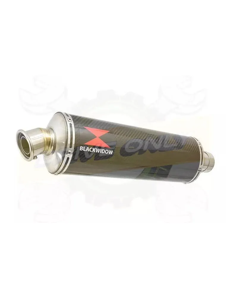 YAMAHA TDM 850 4EP / 3VD 1991 - 2001 2-1 Tube de raccord et Silencieux Ovale En Carbone 400mm