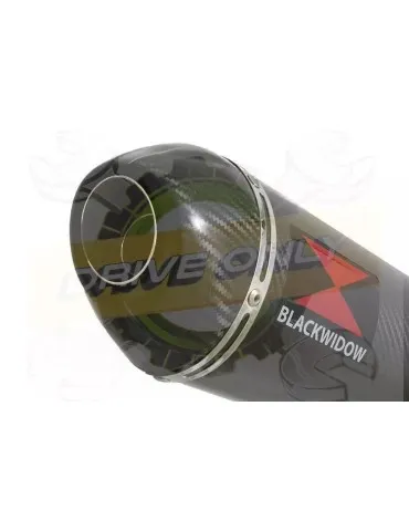 YAMAHA TDM 850 4EP / 3VD 1991 - 2001 2-1 Tube de raccord et Silencieux Ovale En Carbone 300mm