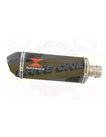 YAMAHA TDM 850 4EP / 3VD 1991 - 2001 2-1 Tube de raccord et Silencieux Ovale En Carbone 300mm
