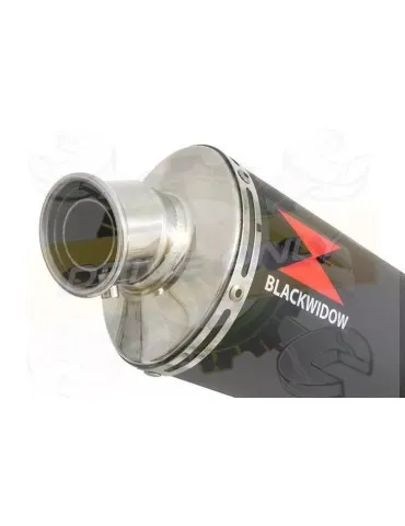 YAMAHA TDM 850 4EP / 3VD 1991 - 2001 2-1 Tube de raccord et Silencieux Ovale Noir En Inox 400mm