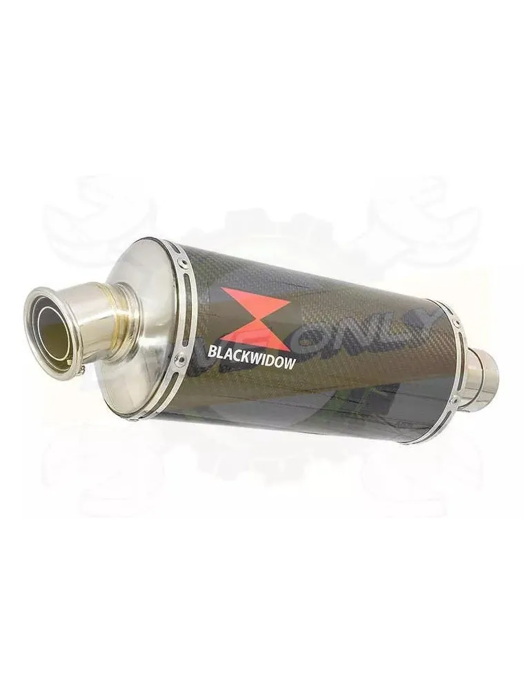 YAMAHA TDM 850 4EP / 3VD 1991 - 2001 2-1 Tube de raccord et Silencieux Ovale En Carbone 300mm